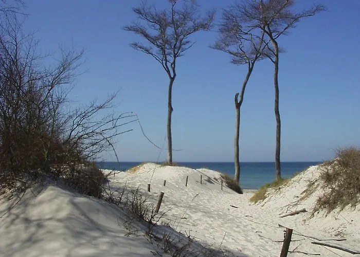 Am Bernsteinweg * Преров